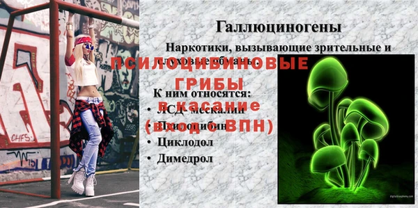 Альфа ПВП Беслан