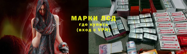 ГАЛЛЮЦИНОГЕННЫЕ ГРИБЫ Билибино