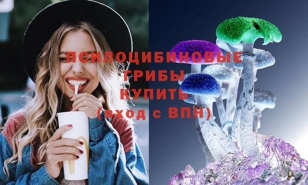 спайс Бежецк