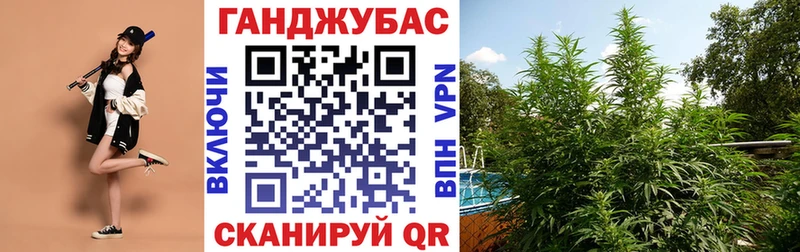 купить закладку  Каргополь  mega ссылки  Канабис гибрид 