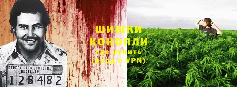 Конопля Amnesia  даркнет наркотические препараты  Каргополь  кракен ссылки 